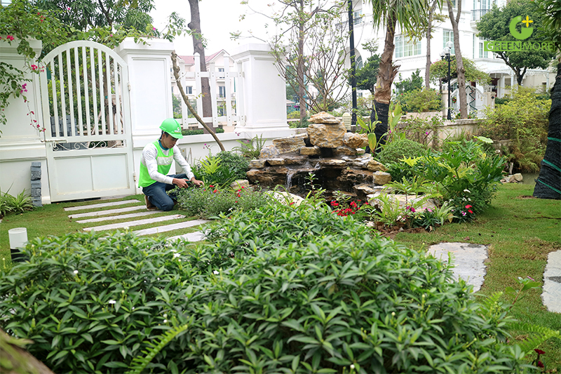 Biệt thự sân vườn hiện nay với vẻ đẹp tuyệt vời