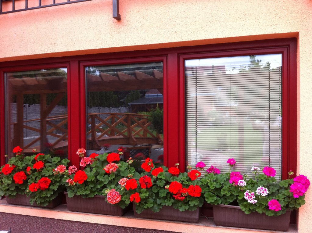 phong-lu-thao-trong-o-ban-cong-rat-dep