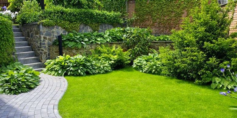 trong-co-trong-san-vuon