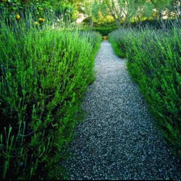Lối đi bằng sỏi cho sân vườn
