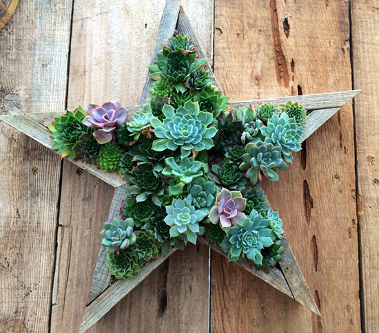 vong-trang-tri-bang-cay-mong-nuoc