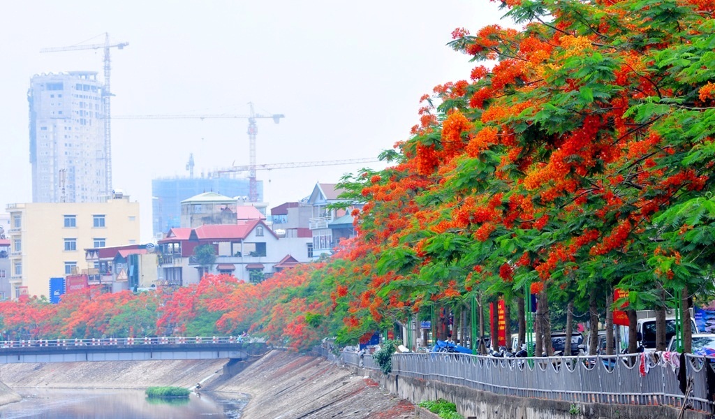 phuong-vi-trong-san-vuon