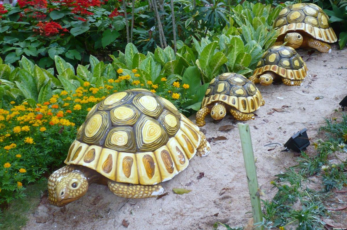 y-tuong-thiet-ke-san-vuon