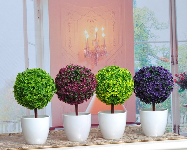 Cây trồng trong chậu trang trí sân vườn