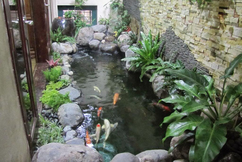 chống thấm cổ lọc cá koi