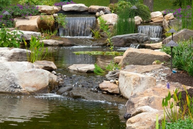 hồ nước sân vườn