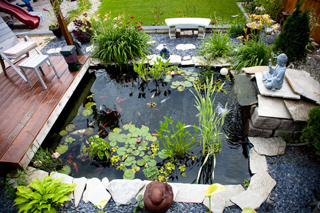 Có nên xây hồ cá trước nhà không