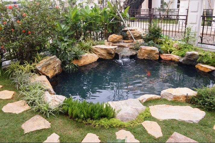 Có nên xây hồ cá trước nhà không