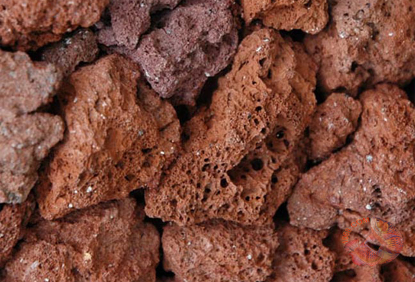 nham thạch lọc bể cá koi