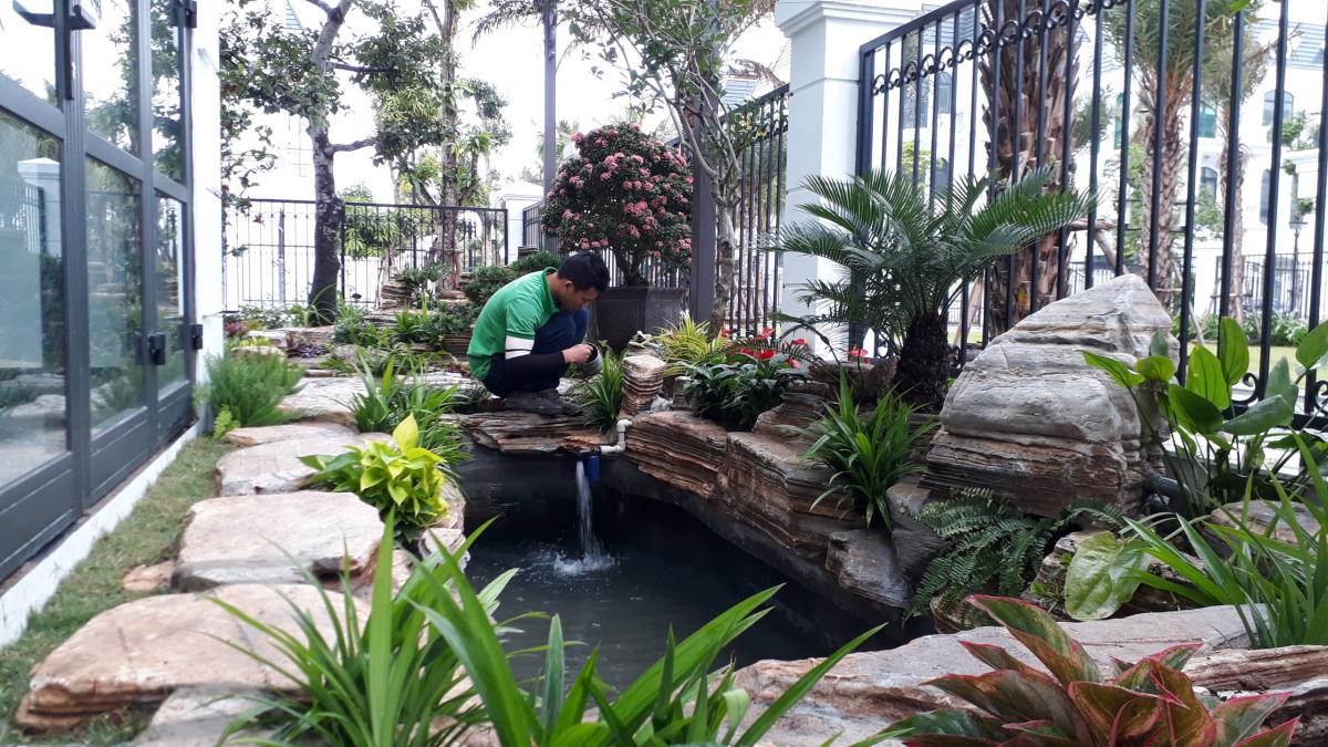 thi-cong-ho-ca-koi-dep-hai-phong-2