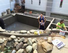 “Du hí” phong cảnh sơn thủy hữu tình cùng hồ cá Koi của ca sĩ Cao Thái Sơn