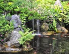 Điều kiện cần và đủ để thi công Hồ Cá Koi