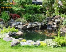 Tuyệt chiêu thiết kế hồ cá Koi đẹp mà đơn giản