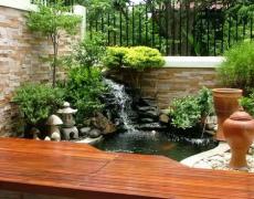 Những lỗi cần tránh khi làm hồ cá Koi