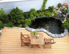 Cần biết những gì khi muốn thi công hồ cá Koi?