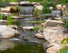 Xu hướng thiết kế sân vườn với hồ nước yên bình