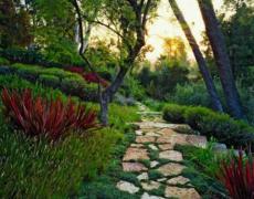 Một số đường dạo đơn giản và đẹp mắt cho sân vườn