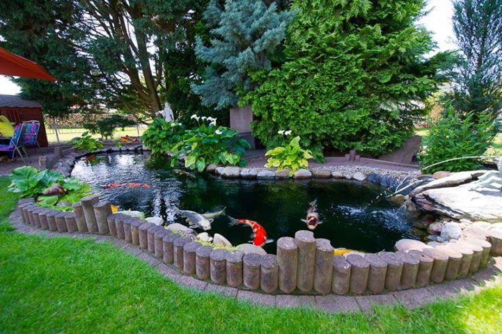 Làm thế nào để tiểu cảnh hồ nước mang lại tài lộc cho bạn