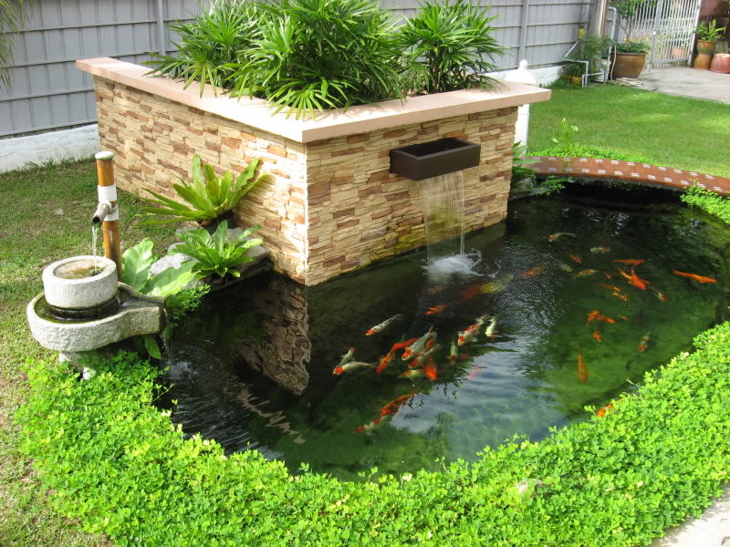Làm thế nào để tiểu cảnh hồ nước mang lại tài lộc cho bạn
